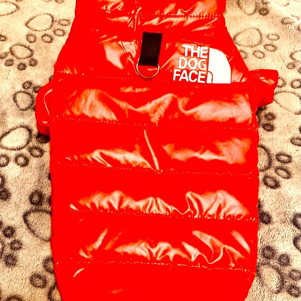 THE DOG FACE red vest.